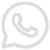 Icons8 whatsapp grey 50.fw